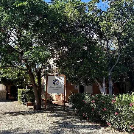 Le Clos Des Arbousiers Linguizzetta