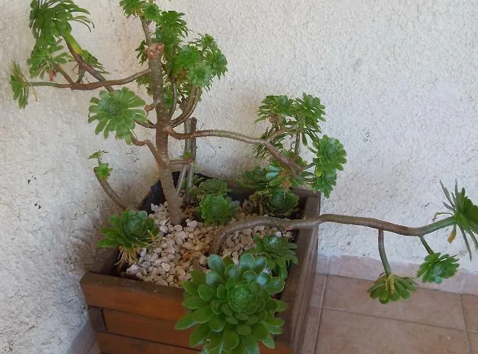 Casa vacanze Le Clos Des Arbousiers *