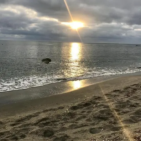 Le Clos Des Arbousiers * Linguizzetta