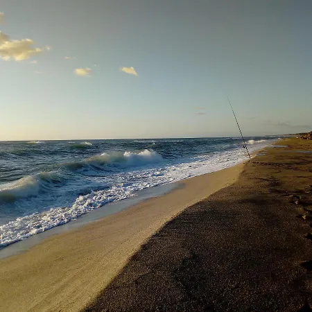 Le Clos Des Arbousiers * Linguizzetta