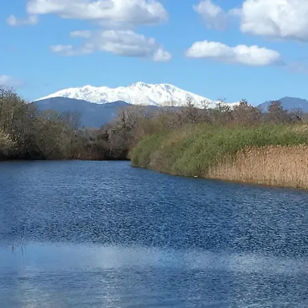 Le Clos Des Arbousiers Casa de Férias Linguizzetta