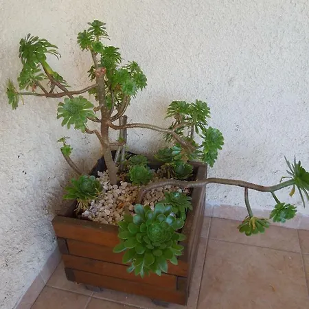 Casa de Férias Le Clos Des Arbousiers *