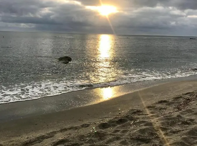 Le Clos Des Arbousiers * Linguizzetta