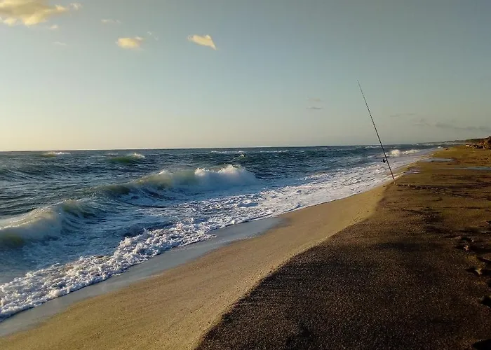 Le Clos Des Arbousiers * Linguizzetta