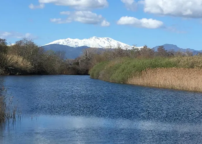 Le Clos Des Arbousiers Casa vacanze Linguizzetta